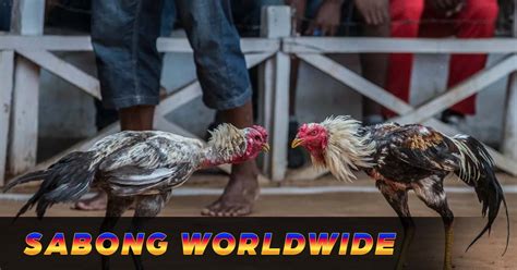 Sabong Worldwide Review for Filipino Players 2024.